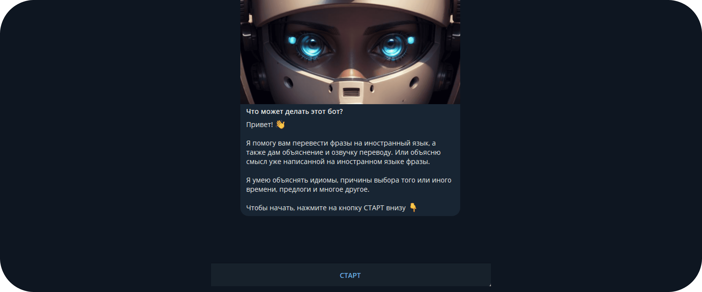 bot-perevod